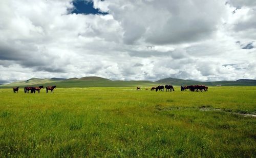 追尋土地的色彩華夏大地5處令人心醉的美