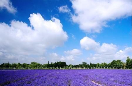 華夏大地5處令人心醉的美：廣西龍脊、新疆伊犁